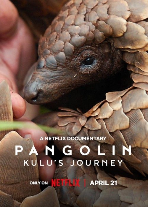 Pangolin: Kulus Journey (2025) Hindi Dubbed Movie download full movie